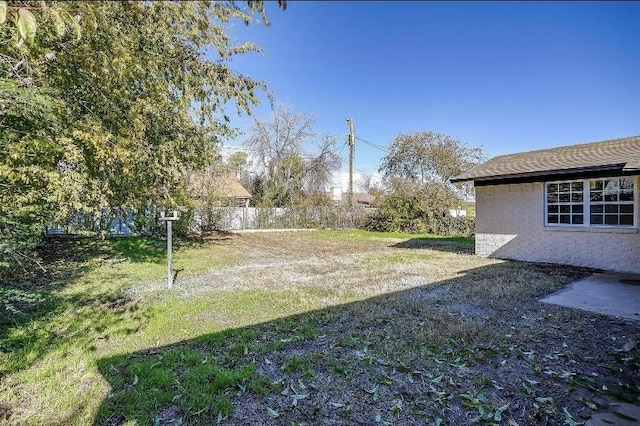 3501 NE 10th St, Mineral Wells, TX 76067 - view of yard