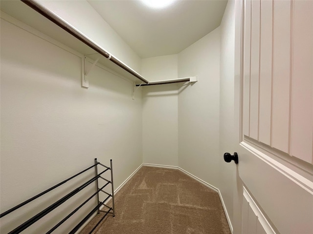 1092 Decker Dr, Fate, TX 75189 - spacious closet with carpet floors