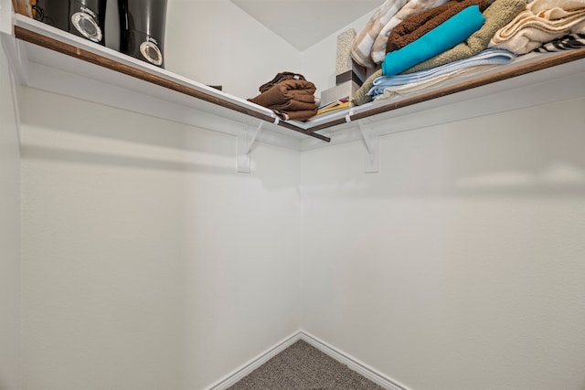 523 Summit Pass Ln, Princeton, TX 75407 - spacious closet featuring carpet flooring