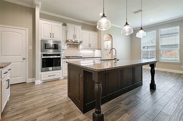 233 Cross Fox Ln, Aledo, TX 76008 - kitchen featuring stainless steel appliances, light stone countertops, under cabinet range hood, white cabinetry, and crown molding