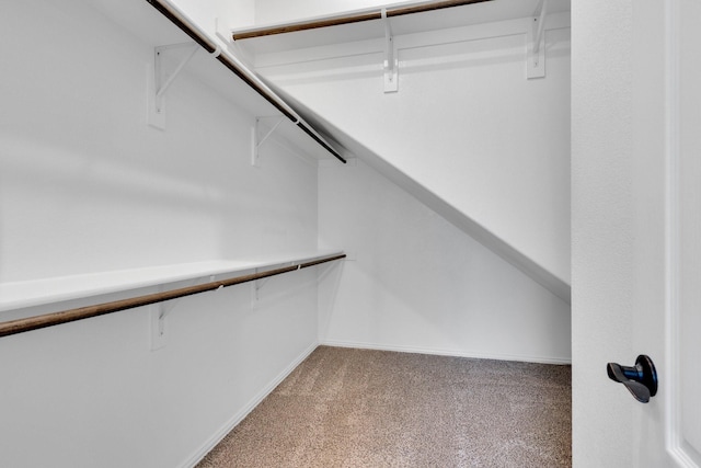350 Windsor St, Waxahachie, TX 75165 - walk in closet featuring carpet