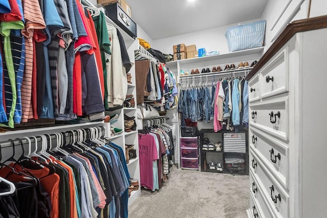 14423 Woodland Crk, Tyler, TX 75706 - spacious closet with carpet