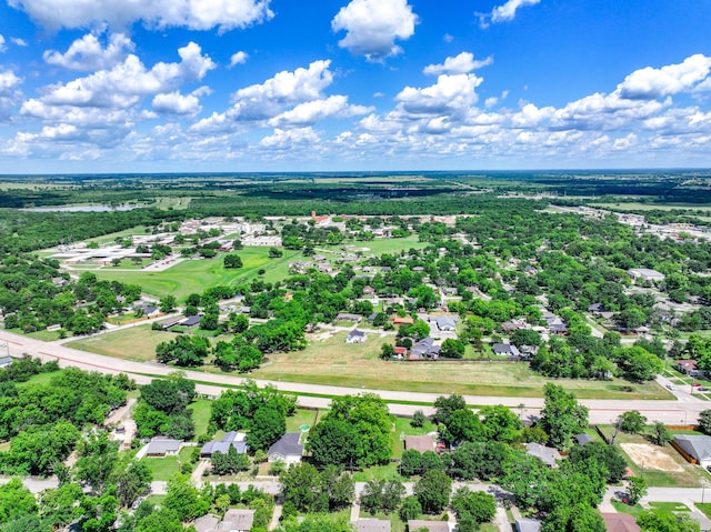 517 N Blanche St, Terrell, TX 75160 - aerial view of residential area