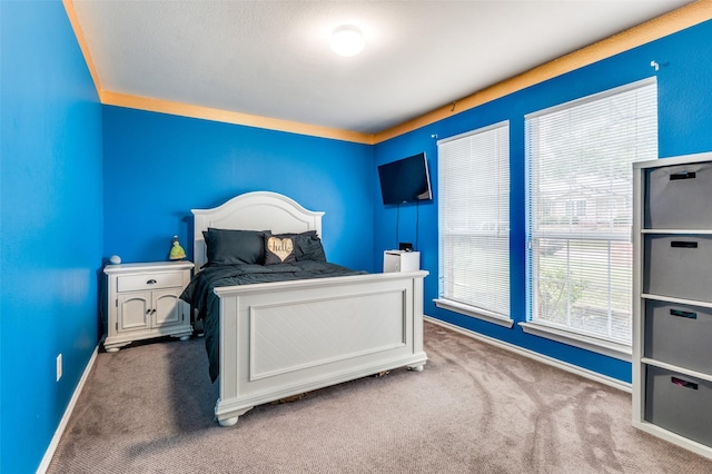 113 Cayman Dr, Lancaster, TX 75146 - carpeted bedroom featuring baseboards