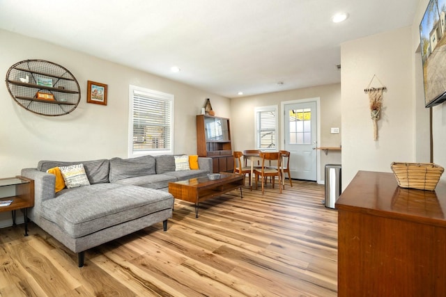1725 Engle Ave, Dallas, TX 75224 - living room featuring light wood-style floors and recessed lighting