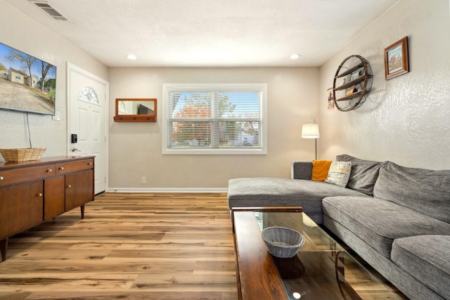 1725 Engle Ave, Dallas, TX 75224 - living area with light wood-style floors and recessed lighting