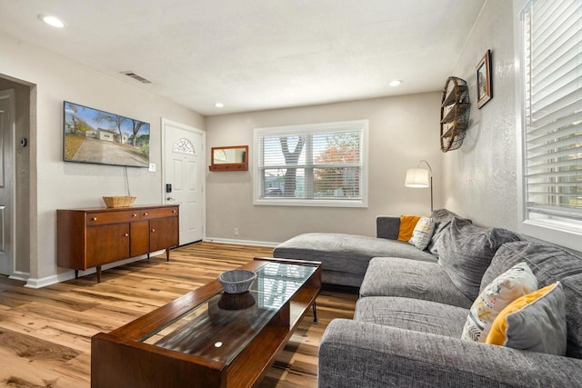 1725 Engle Ave, Dallas, TX 75224 - living area featuring wood finished floors, plenty of natural light, and recessed lighting