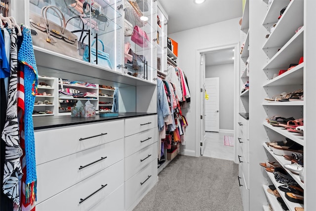 1833 Rolling Heights Ln, Fort Worth, TX 76008 - walk in closet with carpet floors