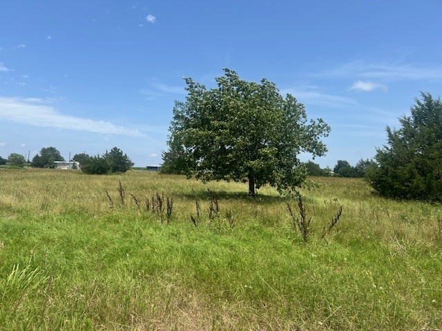 1170 County Road 34020, Brookston, TX 75421 - view of local wilderness featuring rural landscape