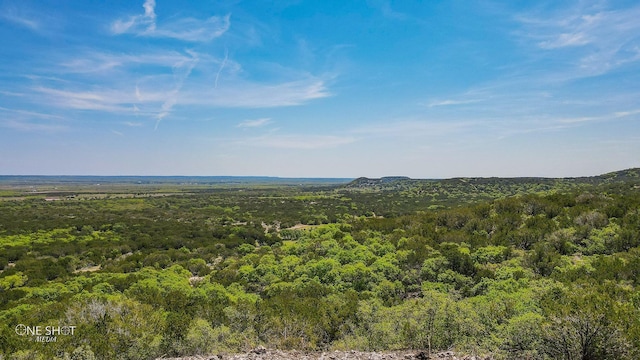 TBD1 Lemons Gap Rd, Tuscola, TX 79541