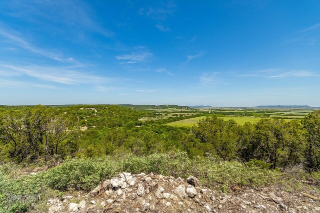 TBD1 Lemons Gap Rd, Tuscola, TX 79541