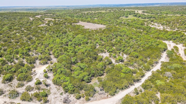 TBD1 Lemons Gap Rd, Tuscola, TX 79541