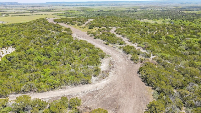 TBD1 Lemons Gap Rd, Tuscola, TX 79541
