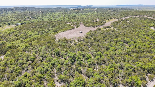 TBD1 Lemons Gap Rd, Tuscola, TX 79541