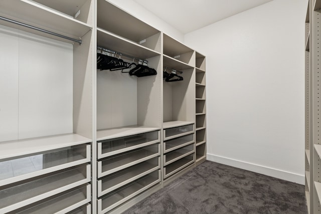 4541 Walnut Grove Ln, Prosper, TX 75078 - spacious closet featuring dark carpet