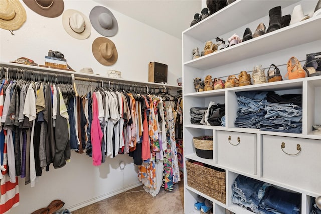 100 Tall Meadow St, Azle, TX 76020 - walk in closet with carpet