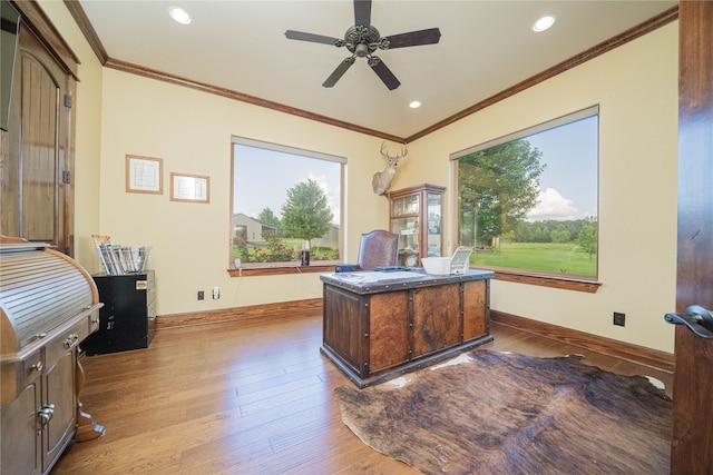 4555 Farm Rd Unit 1402, Mount Pleasant, TX 75455 - home office with wood-type flooring, healthy amount of natural light, crown molding, a ceiling fan, and recessed lighting