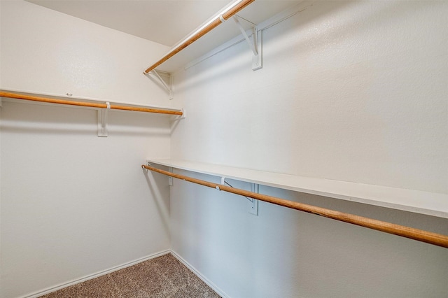 1347 Hillside Dr, Burleson, TX 76028 - spacious closet featuring carpet floors