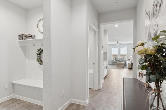 1000 Napier Way, Fort Worth, TX 76247 - hallway with light wood-style floors and baseboards