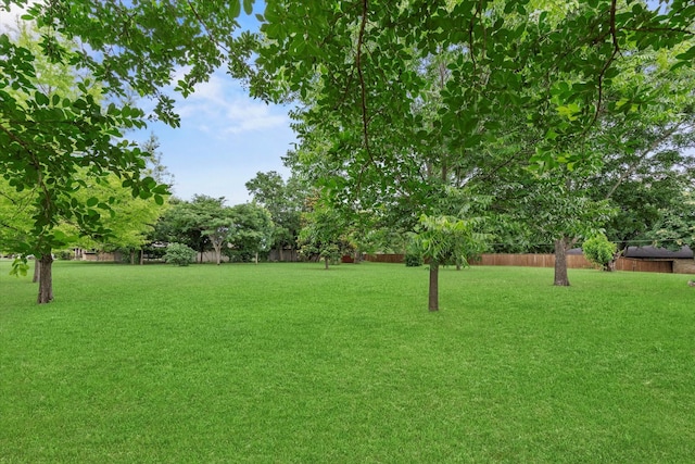 119 Locust Ct, Oak Leaf, TX 75154 - view of yard