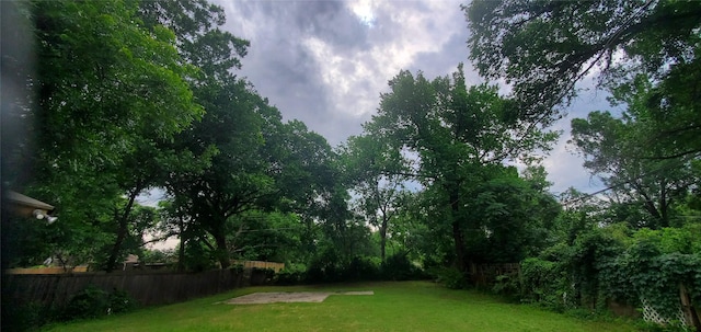 605 N Davis Dr, Arlington, TX 76012 - view of yard