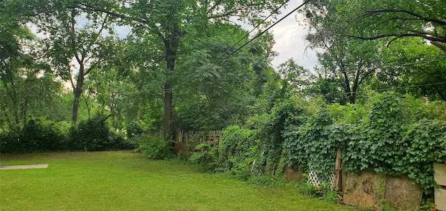 605 N Davis Dr, Arlington, TX 76012 - view of yard