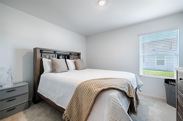 1773 Courage Crk, Crandall, TX 75114 - carpeted bedroom featuring baseboards