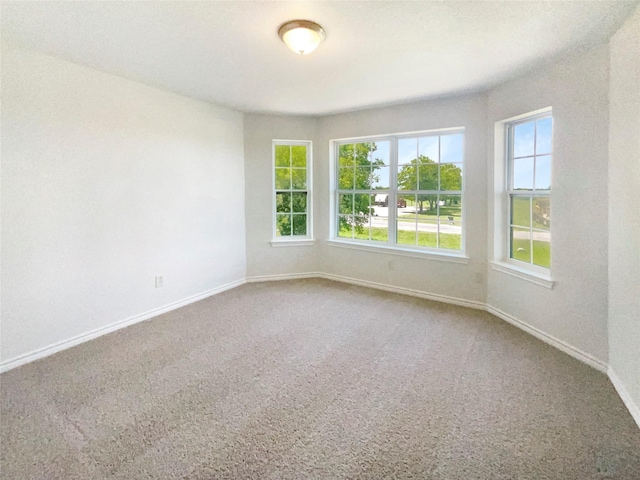 6231 Bridle Trl, Caddo Mills, TX 75135 - spare room featuring carpet floors