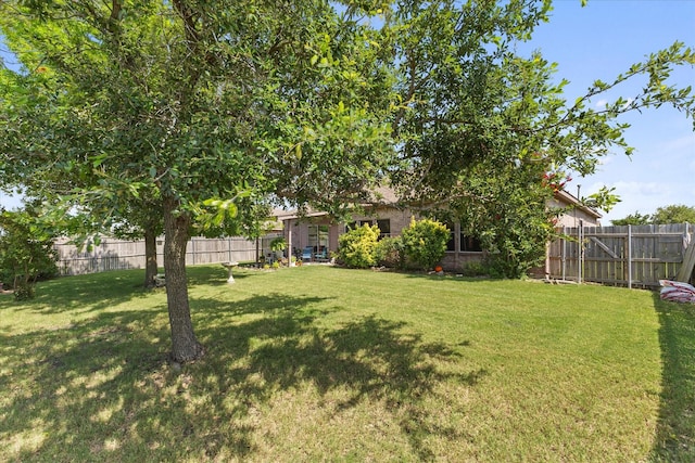 118 Independence Trl, Forney, TX 75126 - view of fenced backyard