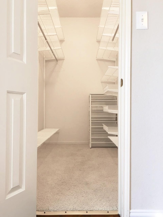 8400 Hickory St Unit 2902, Frisco, TX 75034 - walk in closet featuring carpet floors