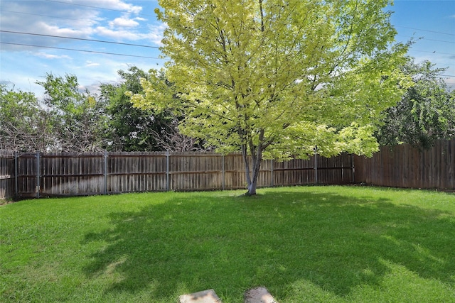 8436 Minturn Dr, Fort Worth, TX 76131 - view of fenced backyard