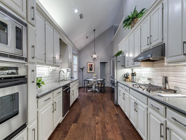 4597 Hallmark Dr, Plano, TX 75024 - kitchen with stainless steel appliances, under cabinet range hood, white cabinets, and high vaulted ceiling