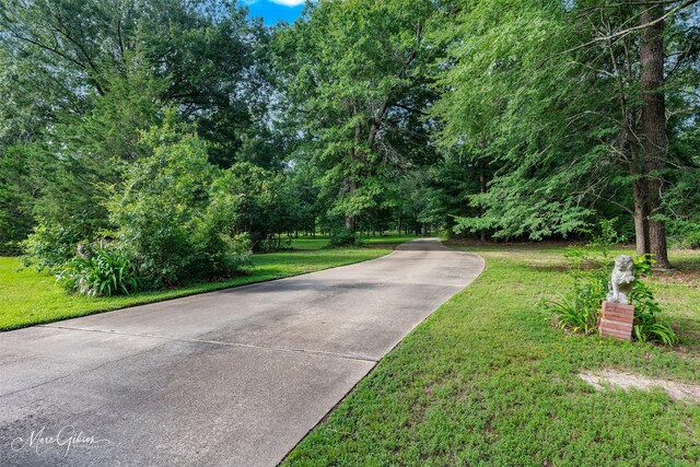 3669 Fountainbleau Rd, Keithville, LA 71047 - view of street