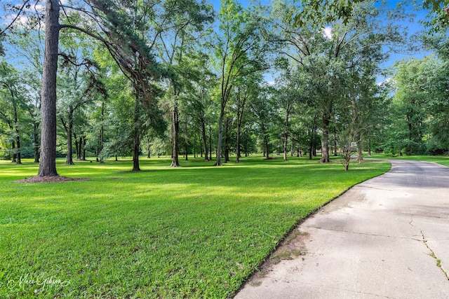 3669 Fountainbleau Rd, Keithville, LA 71047 - surrounding community featuring a yard and view of wooded area