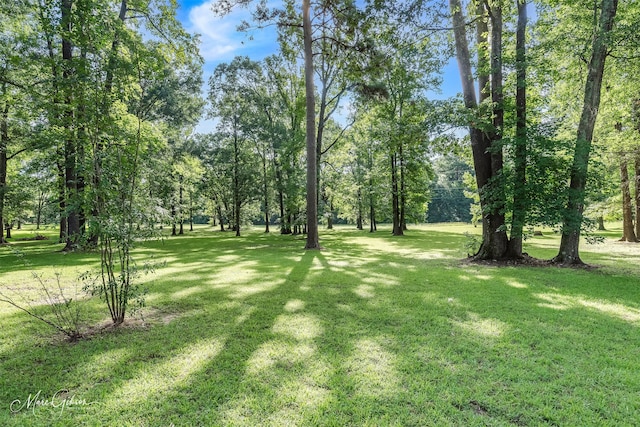 3669 Fountainbleau Rd, Keithville, LA 71047 - view of green lawn