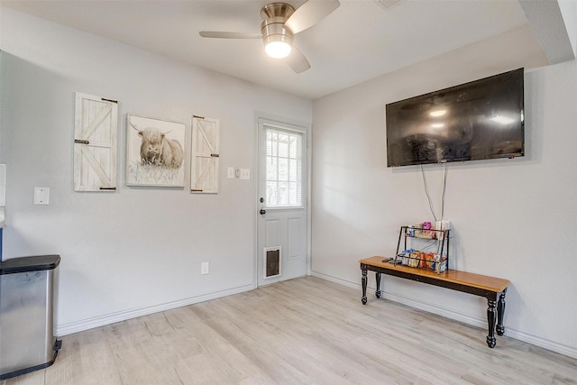 397 Flat Rock Rd, Azle, TX 76020 - entryway with wood finished floors and a ceiling fan