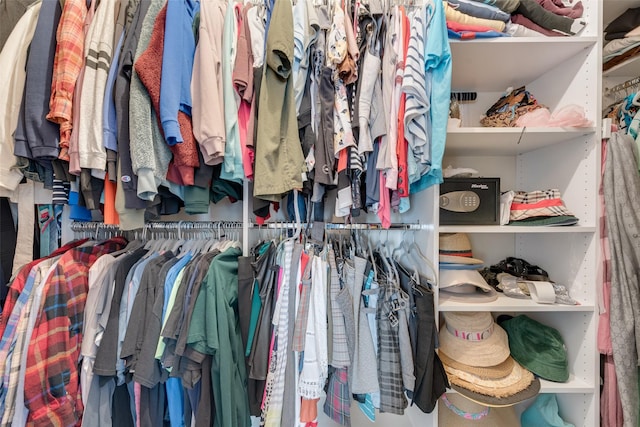 523 Blue Sage Dr, Fate, TX 75087 - view of spacious closet