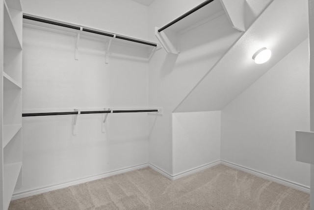 8313 White Pine Dr, Fort Worth, TX 76123 - spacious closet featuring carpet