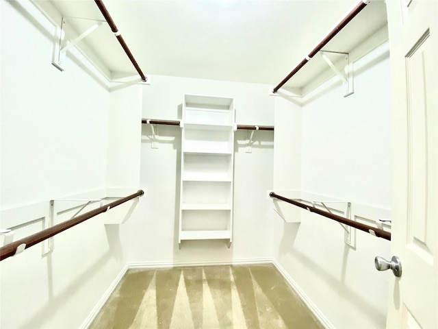 2717 Lumina Dr, Little Elm, TX 75068 - walk in closet with carpet
