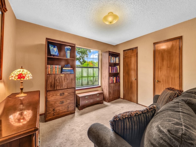 3502 Stage Coach Trl, Weatherford, TX 76087 - living area with carpet and a textured ceiling