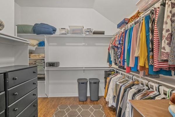 521 Willowview Dr, Saginaw, TX 76179 - spacious closet with wood finished floors and lofted ceiling
