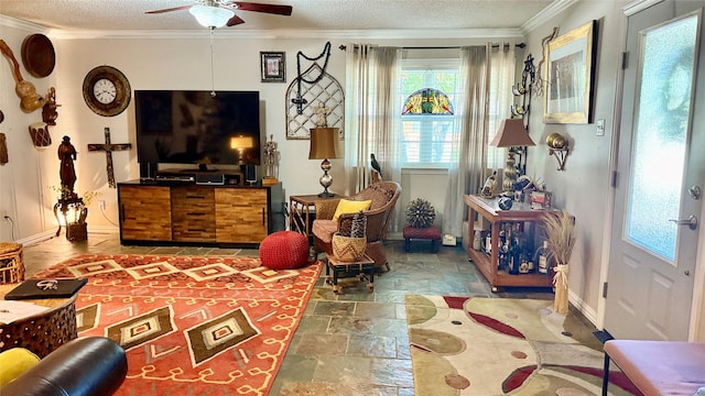 1705 14th St, Brownwood, TX 76801 - living area with a ceiling fan, stone finish flooring, a textured ceiling, and crown molding
