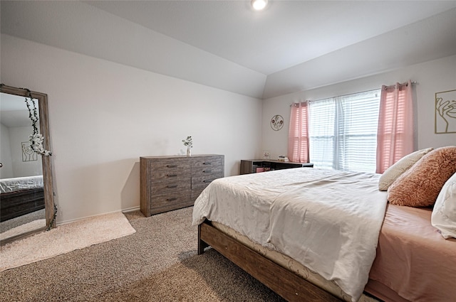 505 Cistern Way, Royse City, TX 75189 - bedroom with carpet floors and lofted ceiling