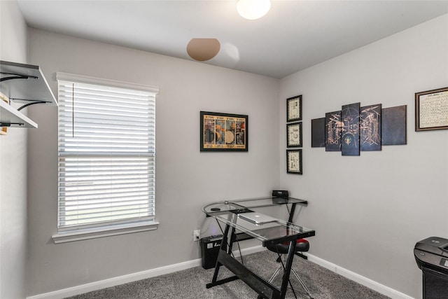 702 Stampede Ln, Princeton, TX 75407 - home office with carpet flooring and baseboards