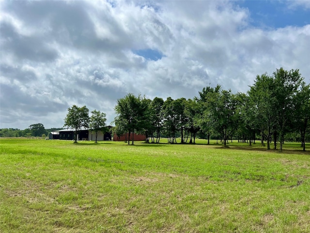 17103 Crk 2830, Mabank, TX 75156 - view of grassy yard