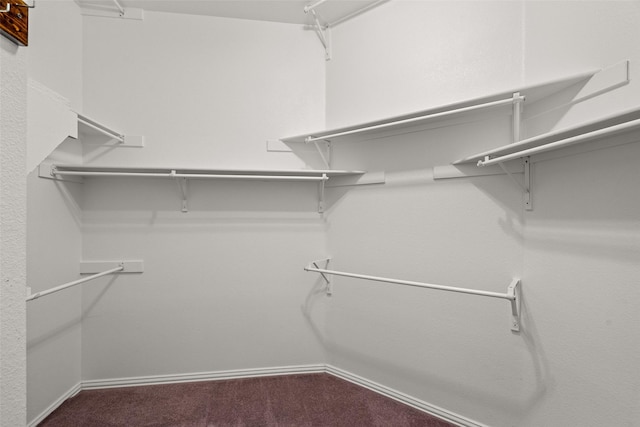 8709 Hartford Dr, Rowlett, TX 75089 - spacious closet featuring carpet
