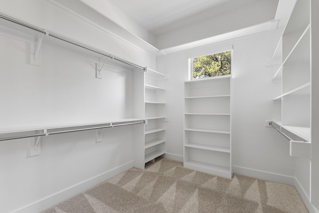 8990 Frostweed Rd, Frisco, TX 75035 - spacious closet featuring light carpet