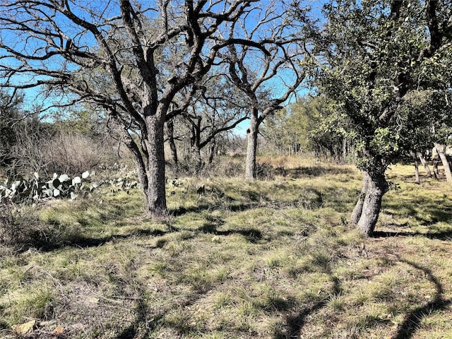 TBDLOT240 Feather Bay Dr, Brownwood, TX 76801