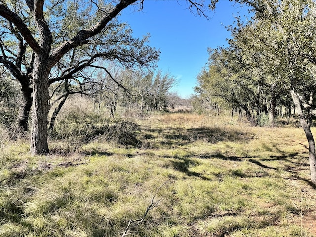 TBDLOT240 Feather Bay Dr, Brownwood, TX 76801