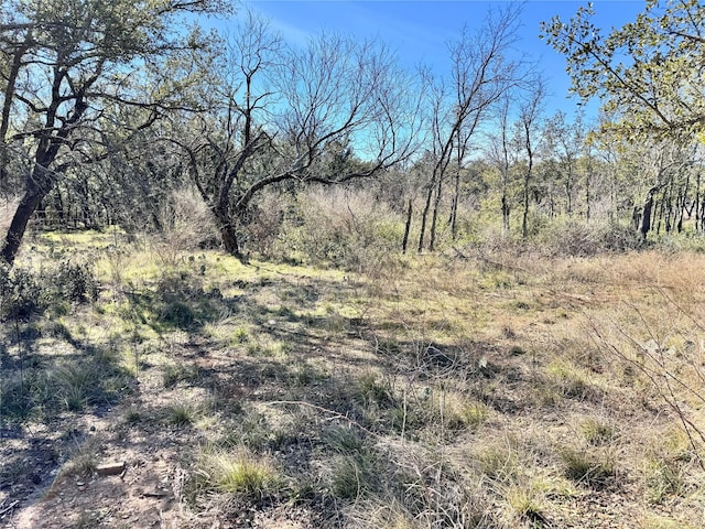 TBDLOT240 Feather Bay Dr, Brownwood, TX 76801